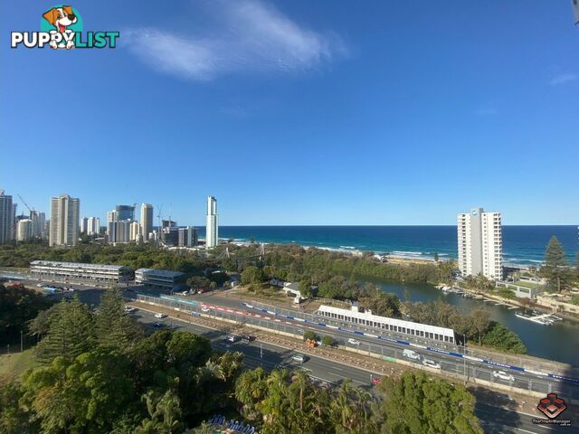 ID:21121713/2 Admiralty Drive Surfers Paradise QLD 4217