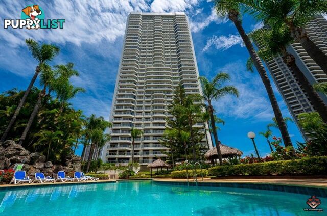 ID:21121713/2 Admiralty Drive Surfers Paradise QLD 4217