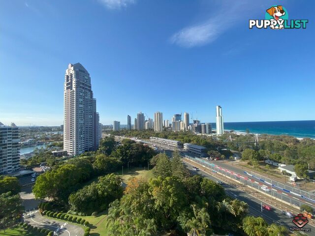 ID:21121713/2 Admiralty Drive Surfers Paradise QLD 4217