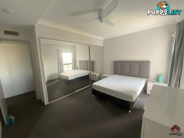 ID:21121713/2 Admiralty Drive Surfers Paradise QLD 4217