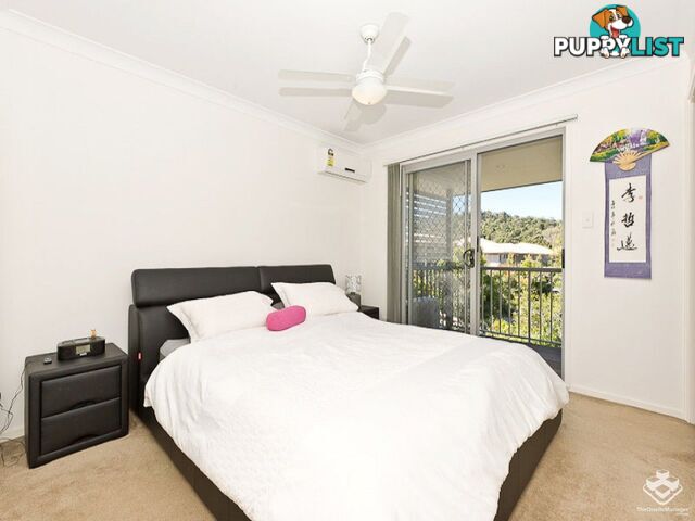 ID:21152116 71 Elkhorn Street Enoggera QLD 4051
