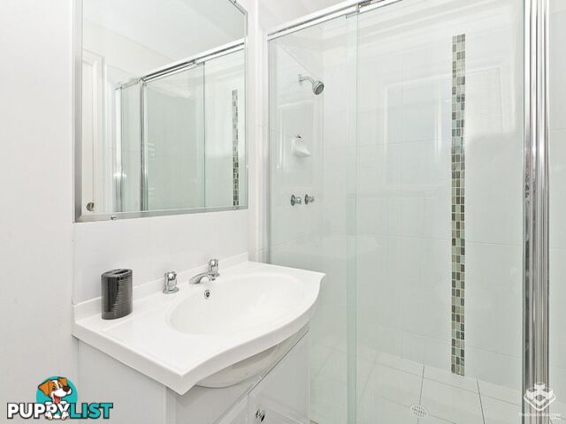 ID:21152116 71 Elkhorn Street Enoggera QLD 4051