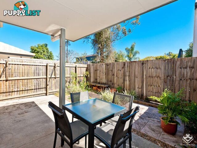 ID:21152116 71 Elkhorn Street Enoggera QLD 4051