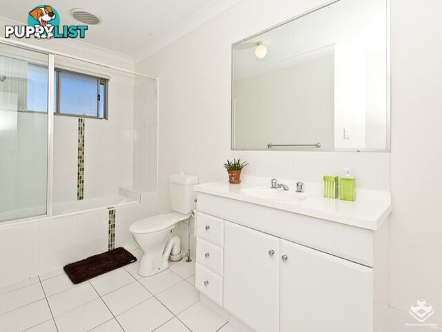 ID:21152116 71 Elkhorn Street Enoggera QLD 4051