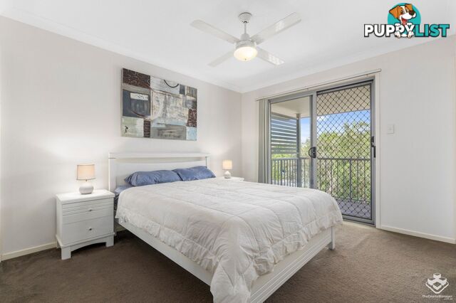 ID:21152116 71 Elkhorn Street Enoggera QLD 4051