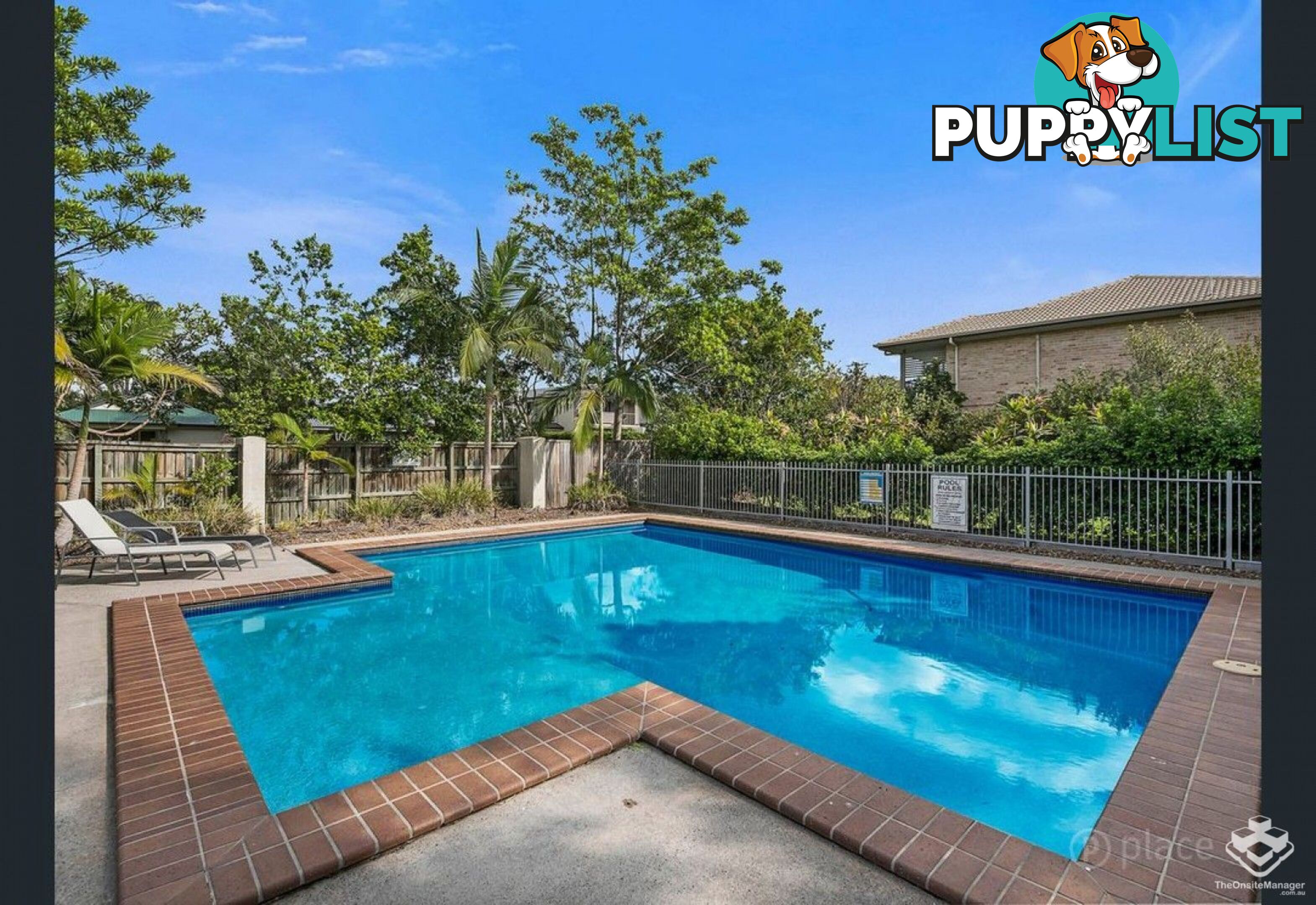 ID:21152116 71 Elkhorn Street Enoggera QLD 4051