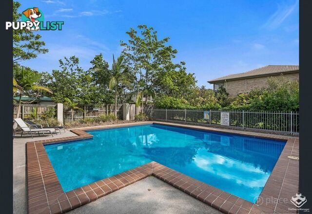 ID:21152116 71 Elkhorn Street Enoggera QLD 4051