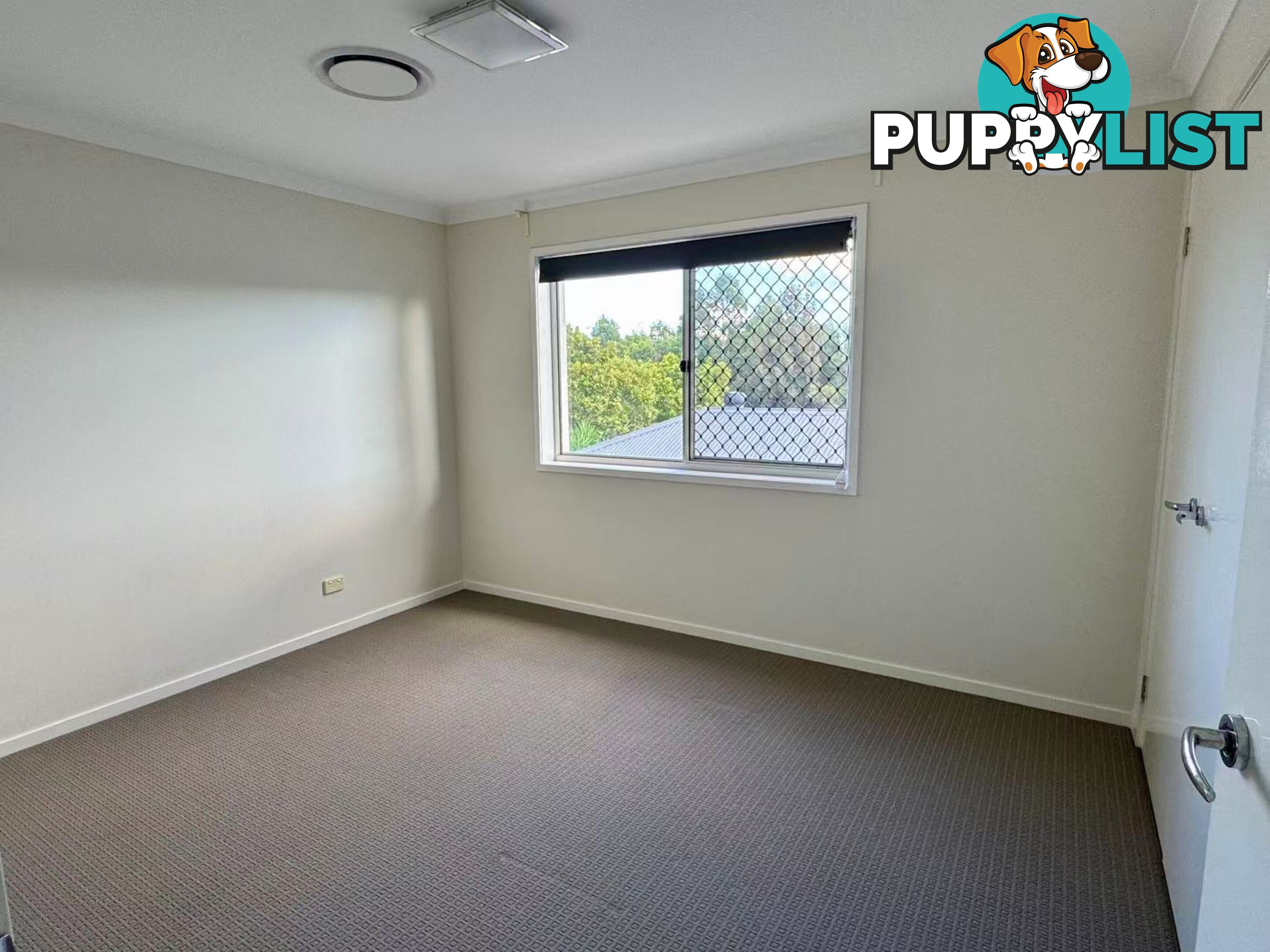 6 Wallaby Parade Rochedale QLD 4123