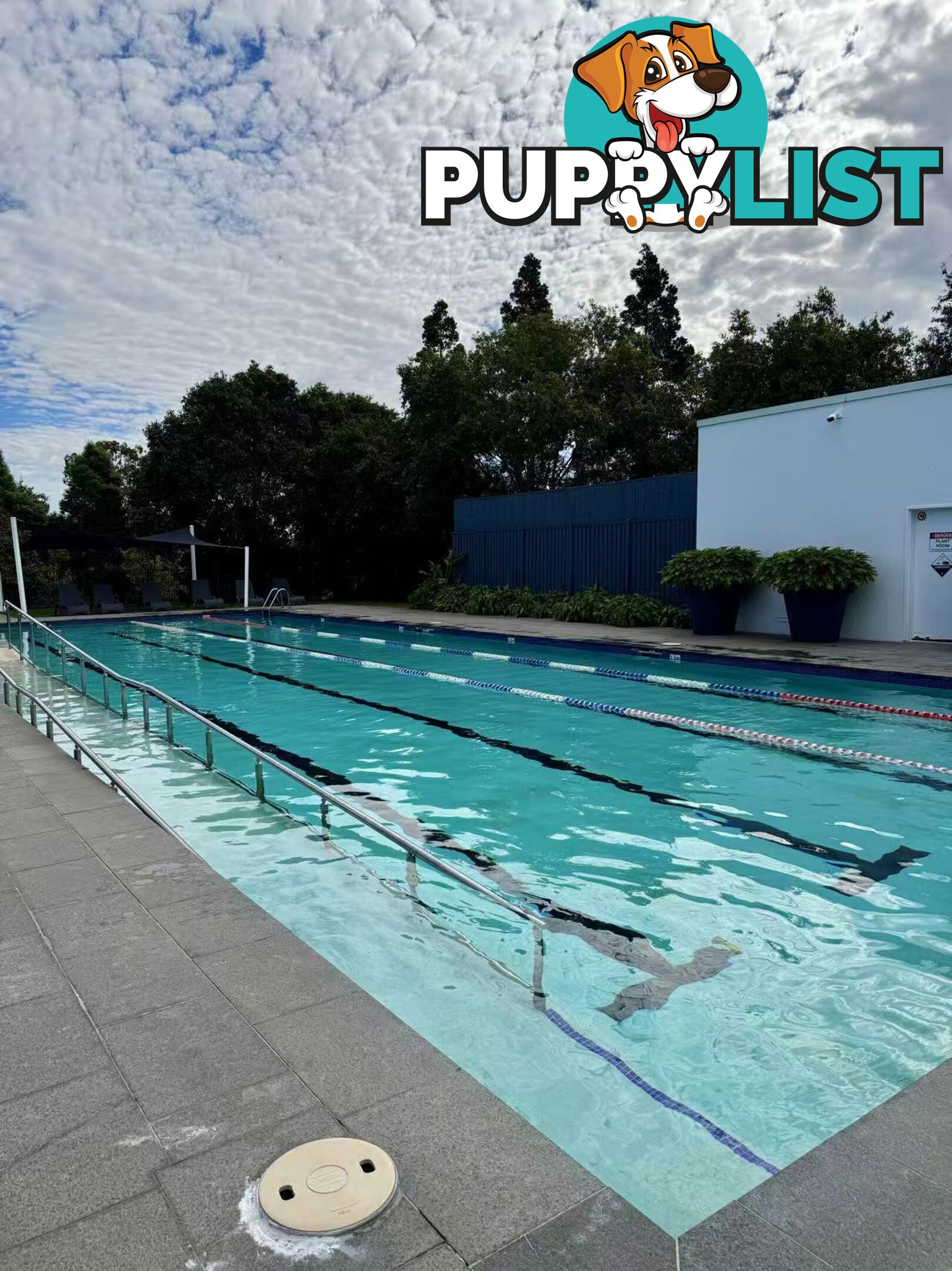 6 Wallaby Parade Rochedale QLD 4123