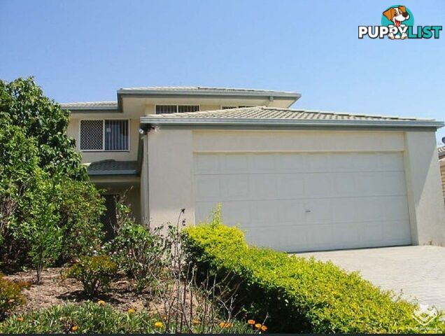 15 Vista Circuit Runcorn QLD 4113