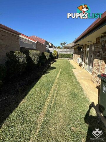 3 Coachwood Close Runcorn QLD 4113