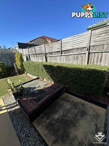 3 Coachwood Close Runcorn QLD 4113