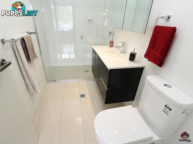 2 Laurence Street St Lucia QLD 4067