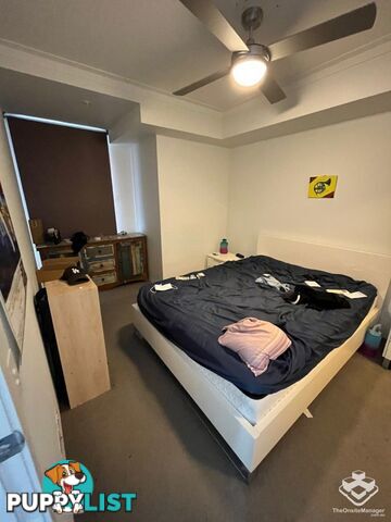 ID:21144836 11 Beesley Street West End QLD 4101