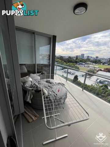 ID:21144836 11 Beesley Street West End QLD 4101
