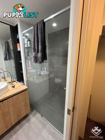 ID:21144836 11 Beesley Street West End QLD 4101