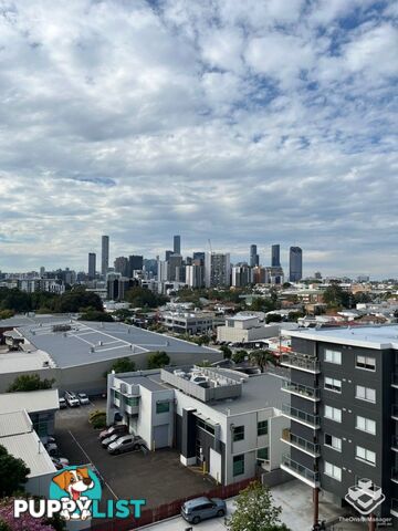 ID:21144836 11 Beesley Street West End QLD 4101