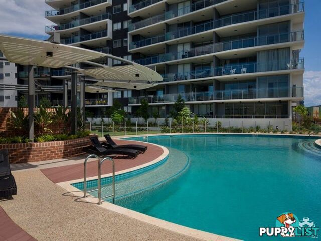 ID:21144836/9 Pidgeon Close West End QLD 4101