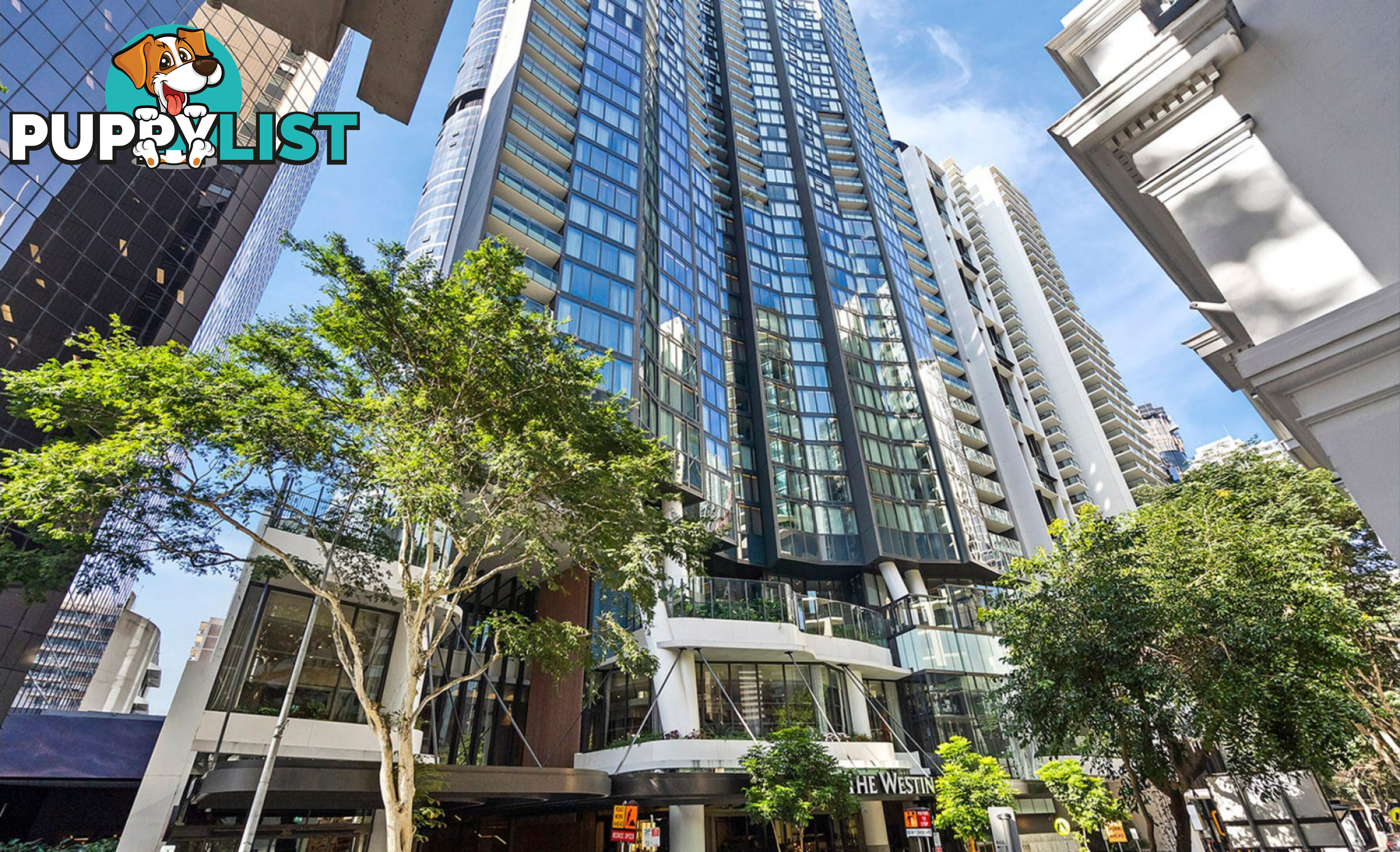 U1904/111 Mary Street Brisbane City QLD 4000