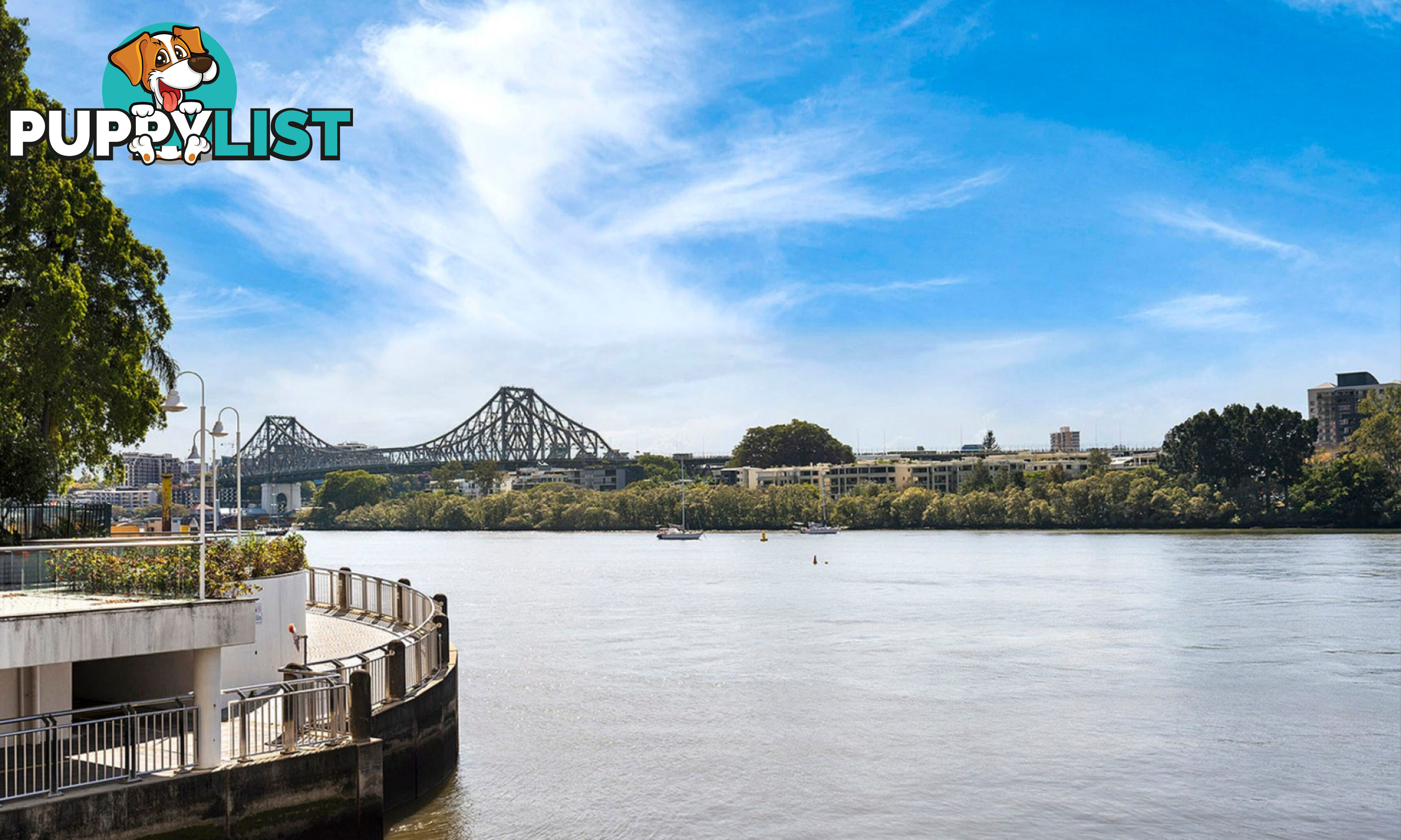 U1904/111 Mary Street Brisbane City QLD 4000