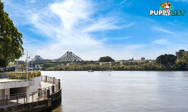 U1904/111 Mary Street Brisbane City QLD 4000
