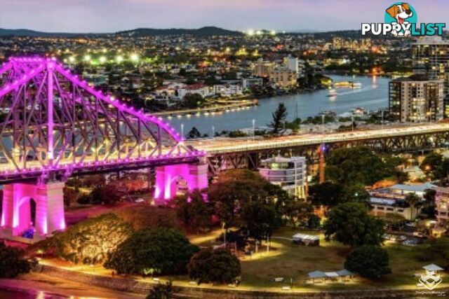 ID:3881722 483 Adelaide Street Brisbane City QLD 4000