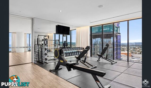 ID:21149030 5 The Darling Avenue Broadbeach QLD 4218