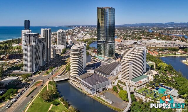 ID:21149030 5 The Darling Avenue Broadbeach QLD 4218