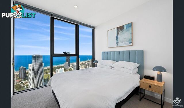 ID:21149030 5 The Darling Avenue Broadbeach QLD 4218