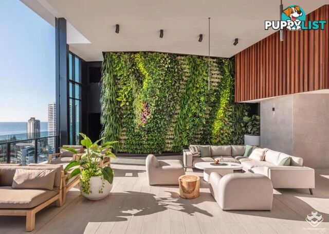 ID:21149030 5 The Darling Avenue Broadbeach QLD 4218