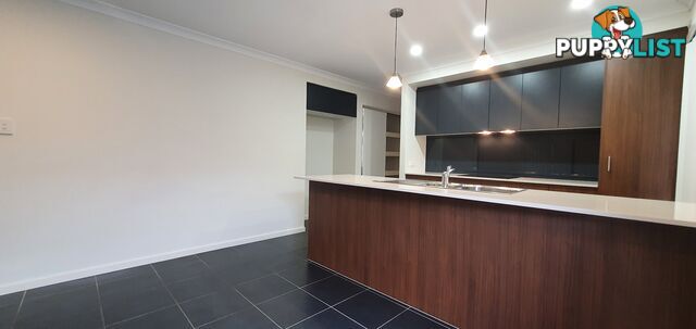 51 Wollombi Avenue Ormeau Hills QLD 4208