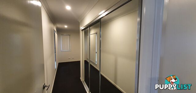 51 Wollombi Avenue Ormeau Hills QLD 4208