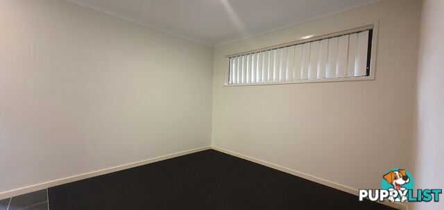 51 Wollombi Avenue Ormeau Hills QLD 4208