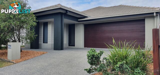 51 Wollombi Avenue Ormeau Hills QLD 4208