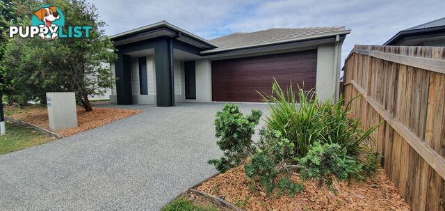 51 Wollombi Avenue Ormeau Hills QLD 4208