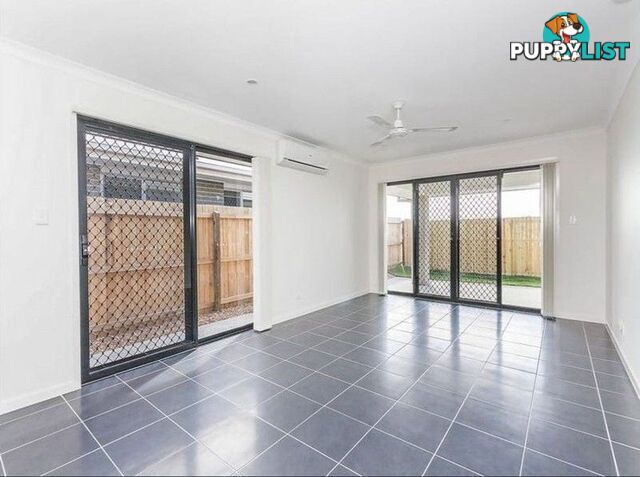 51 Wollombi Avenue Ormeau Hills QLD 4208