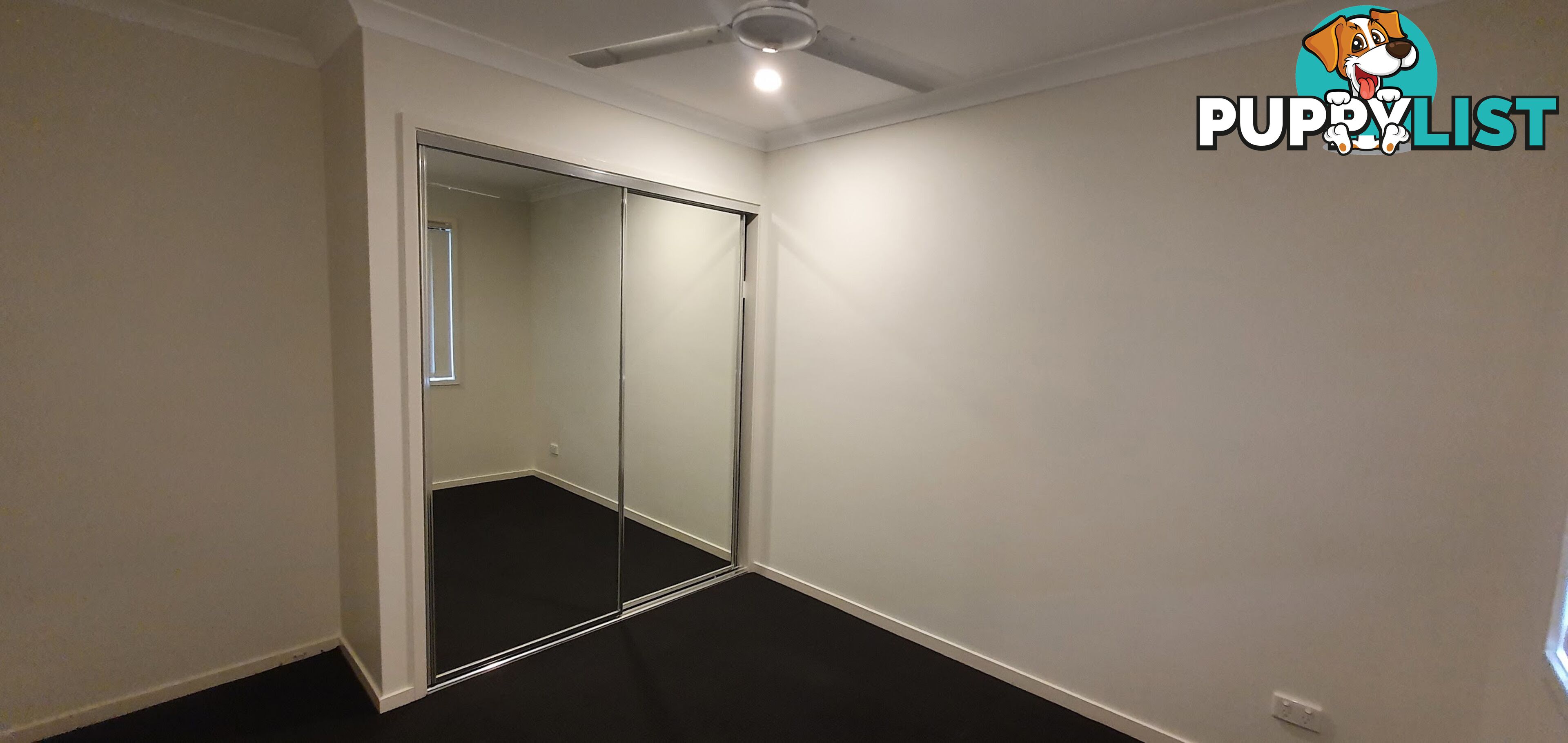 51 Wollombi Avenue Ormeau Hills QLD 4208
