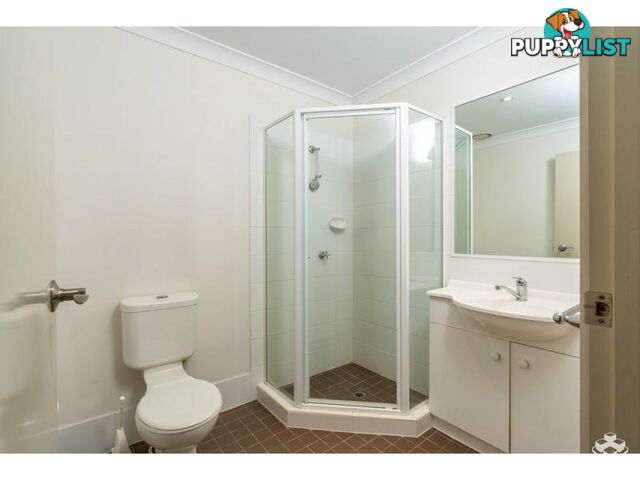 ID:21156959 87 Thorn Street Ipswich QLD 4305