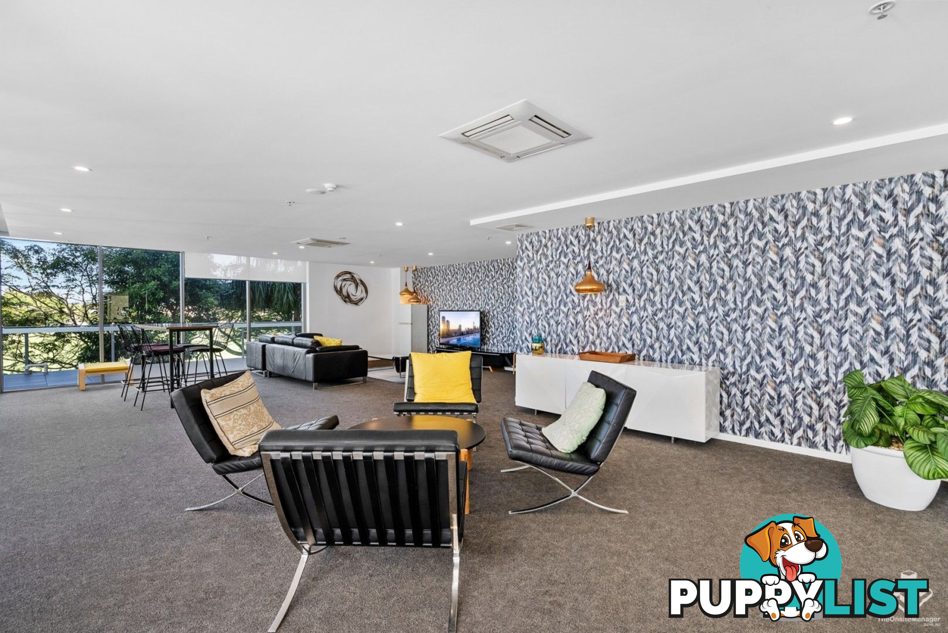 ID:21157319 17 Bath Street Labrador QLD 4215