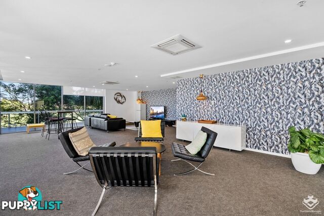 ID:21157319 17 Bath Street Labrador QLD 4215