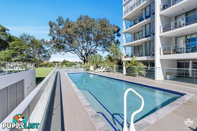 ID:21157319 17 Bath Street Labrador QLD 4215
