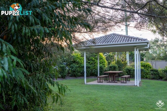 ID:21156262 51 River Road Bundamba QLD 4304