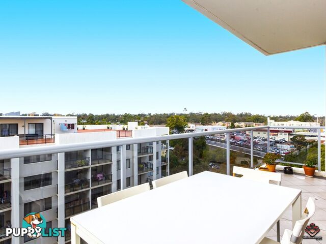 ID:3897251/Unit 53 No 6-10 Romsey Street Waitara NSW 2077