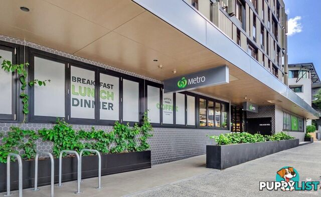 ID:21154601 241 Arthur Street Teneriffe QLD 4005