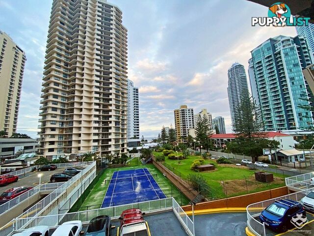 ID:21145526/3049 Surfers Paradise Boulevard Surfers Paradise QLD 4217