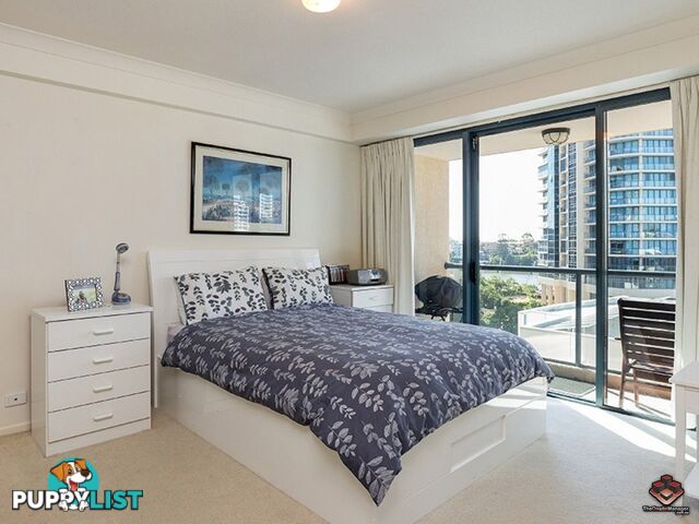 ID:3854172 45 Deakin Street Kangaroo Point QLD 4169