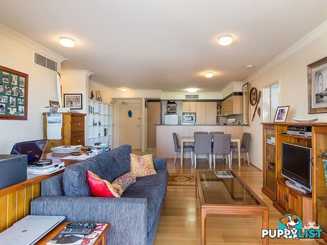 ID:3854172 45 Deakin Street Kangaroo Point QLD 4169