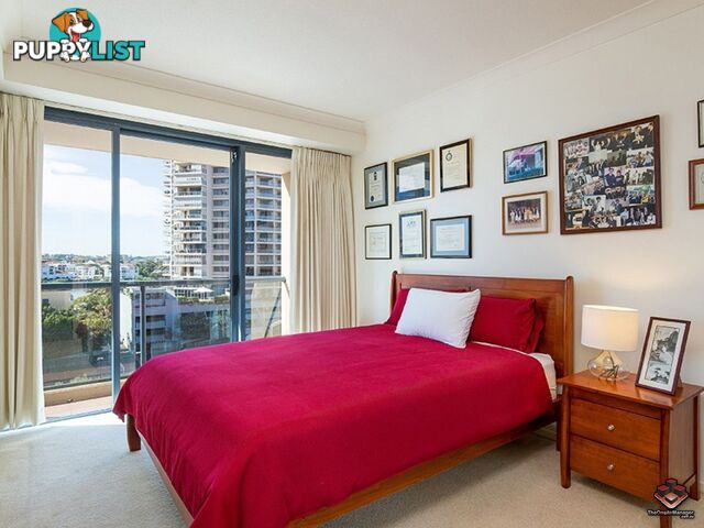 ID:3854172 45 Deakin Street Kangaroo Point QLD 4169