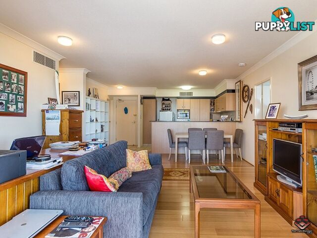 ID:3854172 45 Deakin Street Kangaroo Point QLD 4169