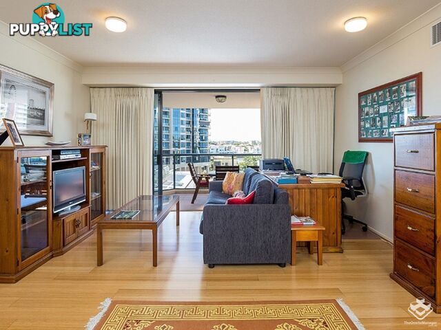 ID:3854172 45 Deakin Street Kangaroo Point QLD 4169